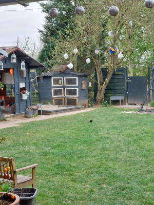 Garten mit Kinderhaus und Sandkasten Garten mit Kinderhaus und Sandkasten
